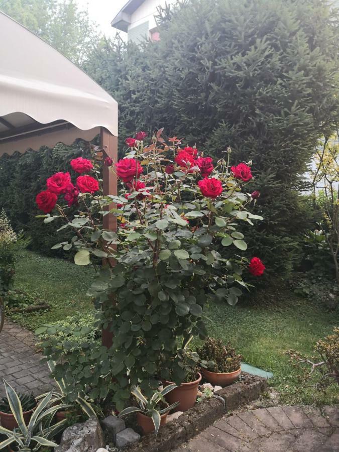La Casa Di Tino Hotel Fontanellato Luaran gambar