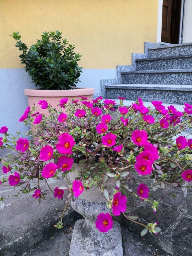 La Casa Di Tino Hotel Fontanellato Luaran gambar